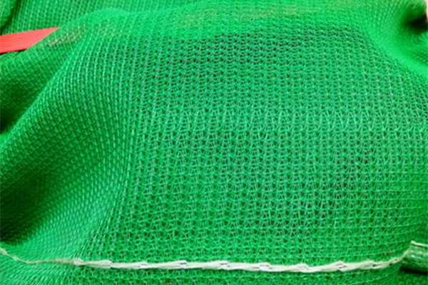 安全網(wǎng)檢測