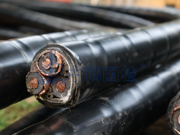 電線電纜樣品圖